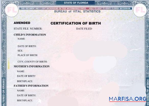 Printable United States State office of Florida Vital Statistics certification of birth download for verification